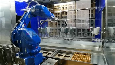 ৰবটিক পেইণ্ট লাইন